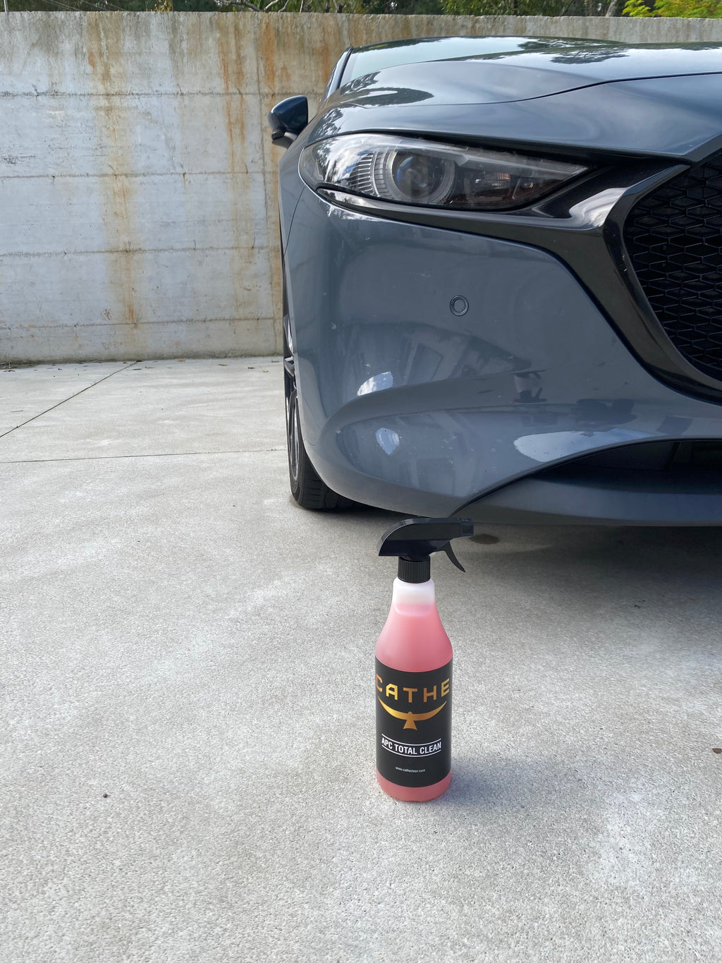 APC TOTAL CLEAN CATHE